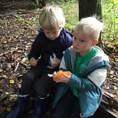 Forest School (22)