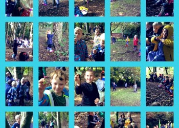 Forest School (19)