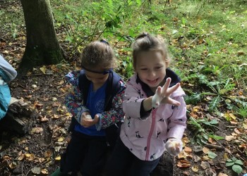 Forest School (21)