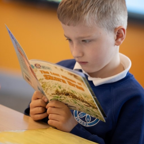 Astley Primary copyright (140)