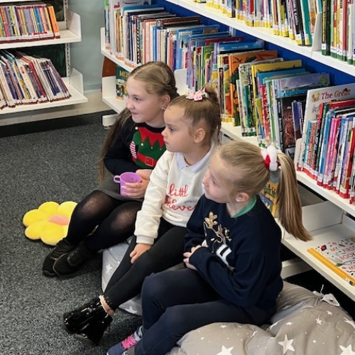 Astley primary library (8)
