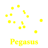 pegasus